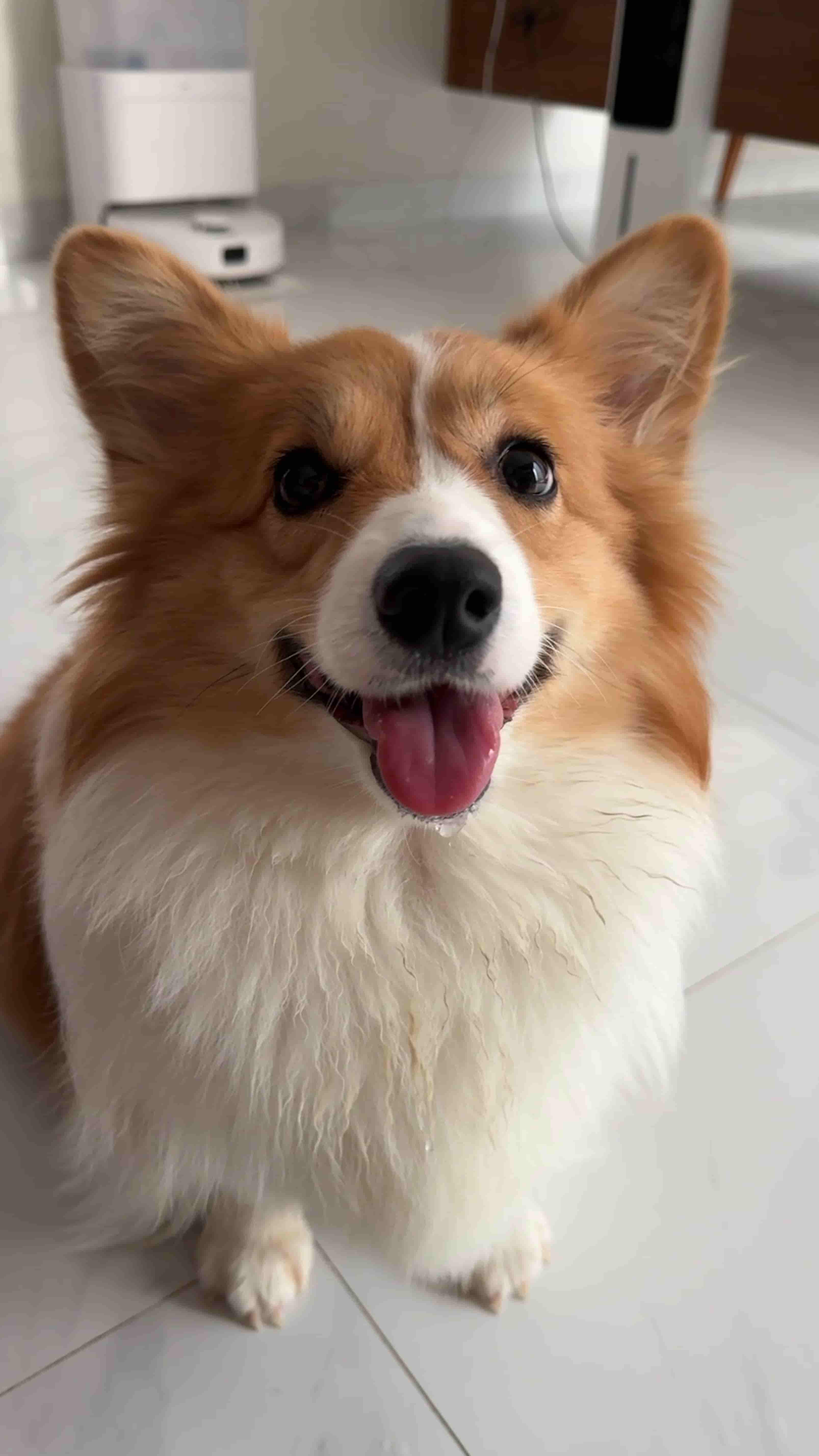 Sherly